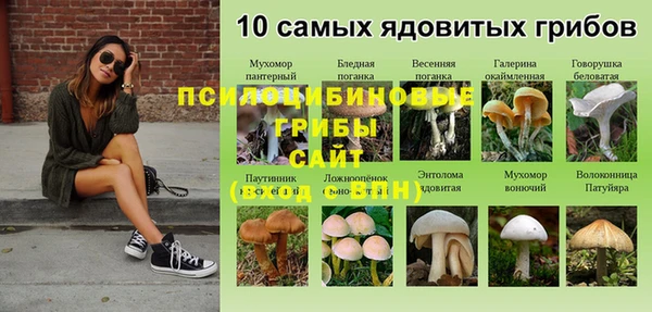 бошки Ельня