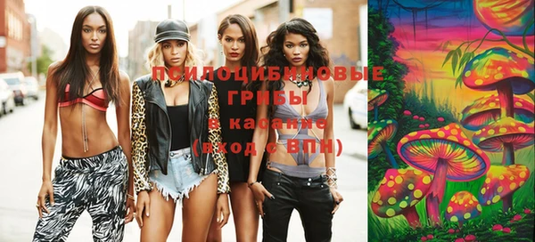 бошки Ельня