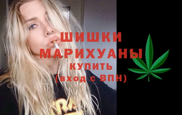 бошки Ельня