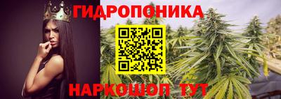 стаф Апшеронск