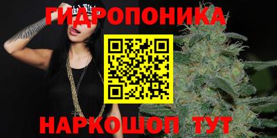 ПСИЛОЦИБИНОВЫЕ ГРИБЫ Гагарин