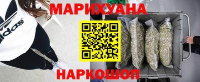 шишки Гатчина