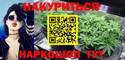 шишки Гатчина
