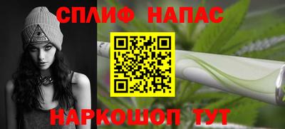 шишки Гатчина