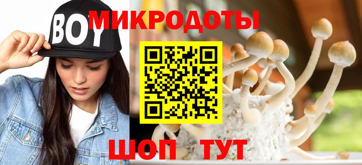 Сибай  Псилоцибиновые грибы Magic Shrooms  Вход с VPN  Псилоцибиновые грибы прущие грибы 